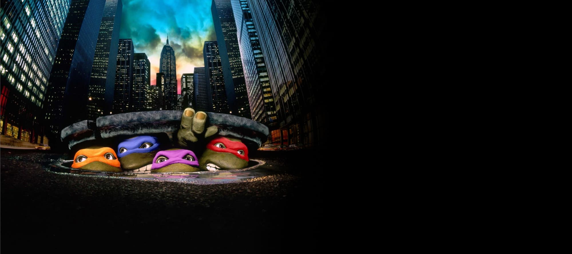 Turtles